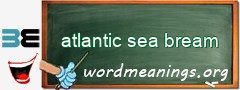 WordMeaning blackboard for atlantic sea bream